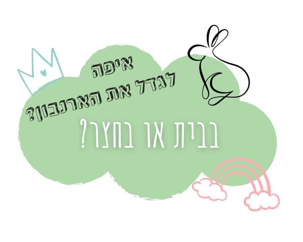 האם לגדל את הארנבון בבית או בחצר