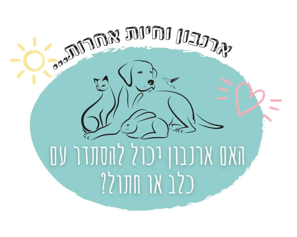 האם ארנבון יסתדר עם כלב וחתול