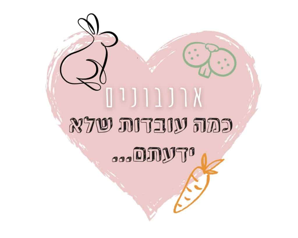 עובדות על ארנבונים