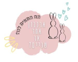 האם לגדל ארנבון אחד או שניים