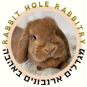 מוצרי RABBIT HOLE rabbitry