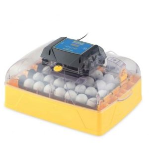 אינקובטור אוטומטי 28 ביצים Ovation 28 EX egg incubator Brinsea